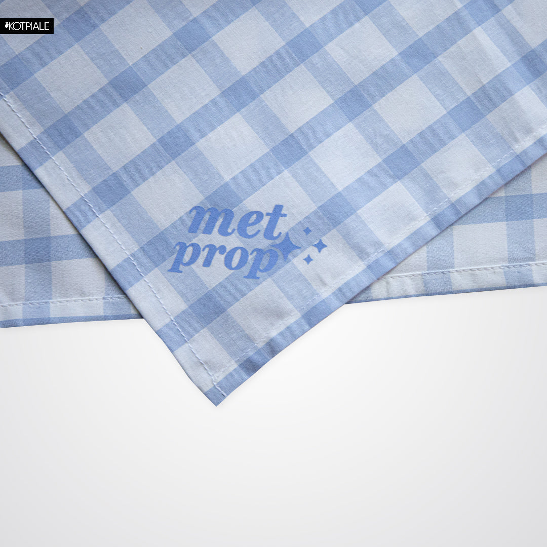 Handkerchief | Check Blue